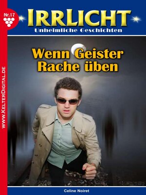 cover image of Irrlicht 17 – Mystikroman